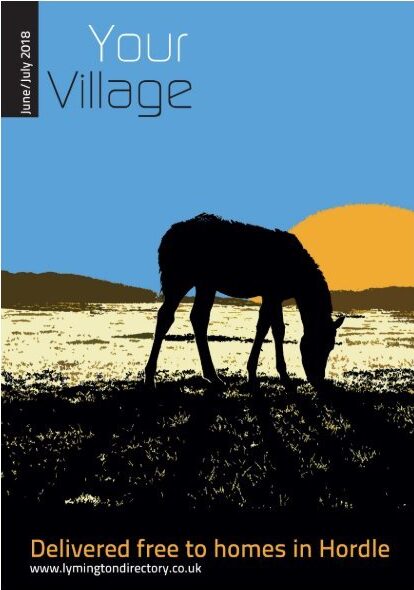 Your Village June / July 2018